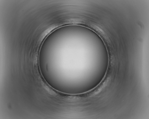 X0000115781081200911131242