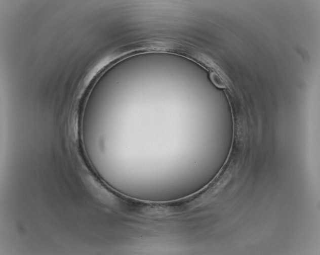 X0000115781083200911131242