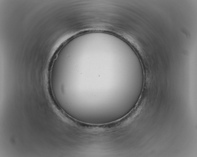 X0000115781085200911131242