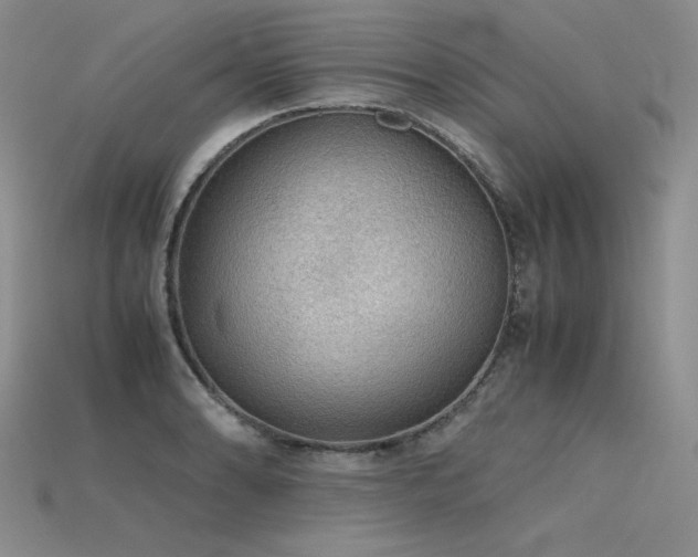 X0000115781086200911131242