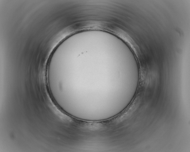 X0000115781090200911131242