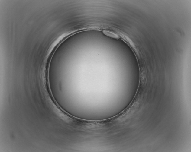 X0000115781091200911131242