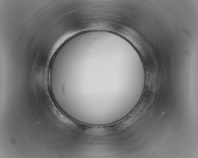 X0000115781094200911131242