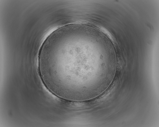 X0000115781095200911131242