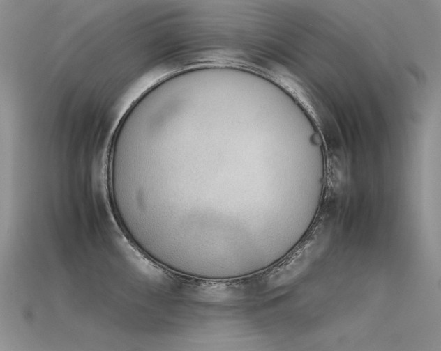 X0000115781098200911131242