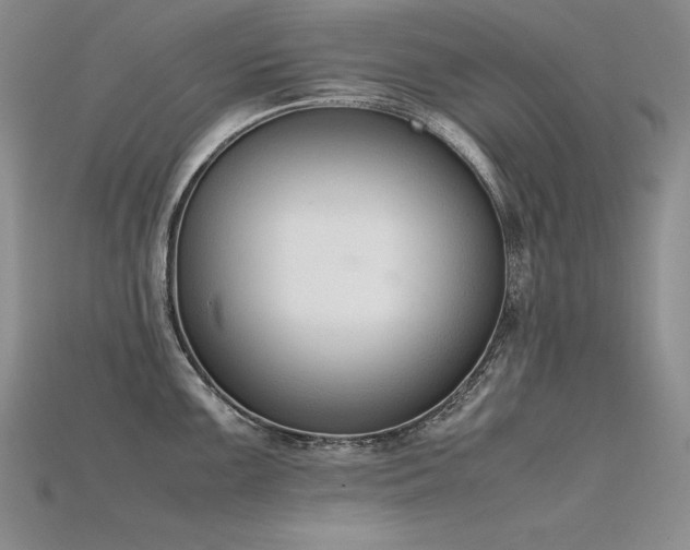 X0000115781099200911131242
