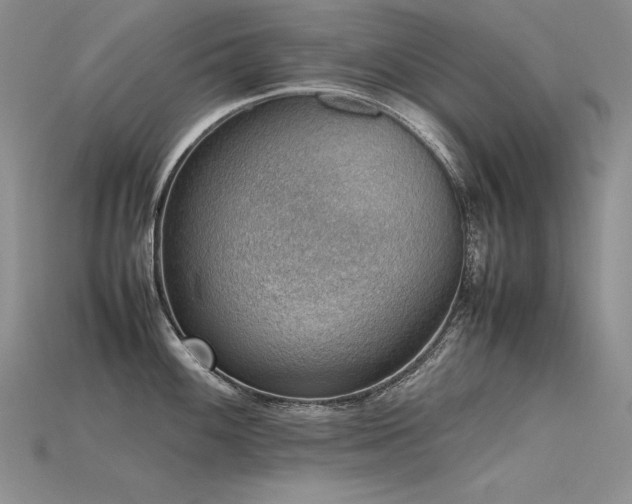 X0000115781100200911131242