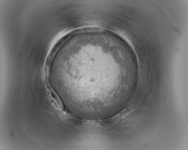 X0000115781104200911131242