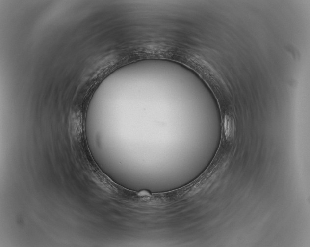 X0000115781107200911131241