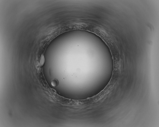X0000115781109200911131241