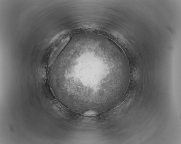 X0000115781110200911131241