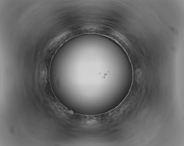 X0000115781111200911131241