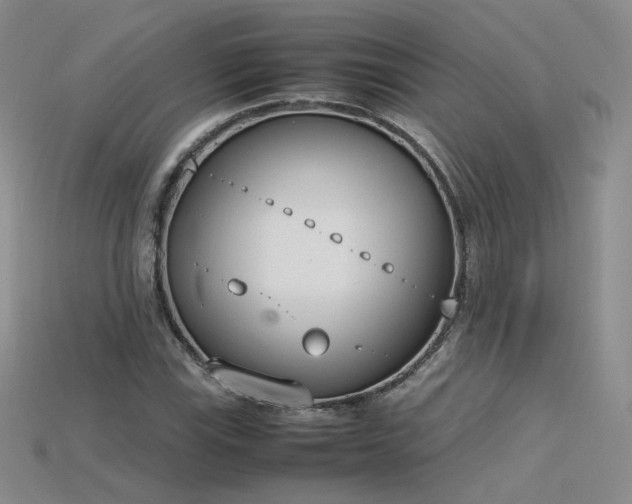 X0000115781115200911131241
