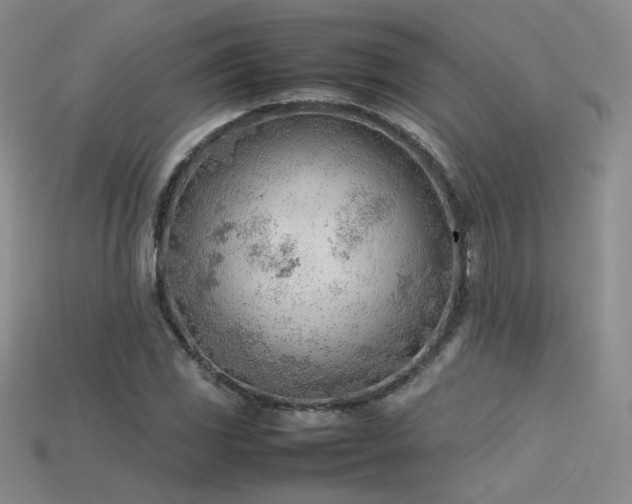 X0000115781117200911131241