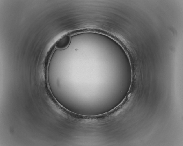 X0000115781118200911131241