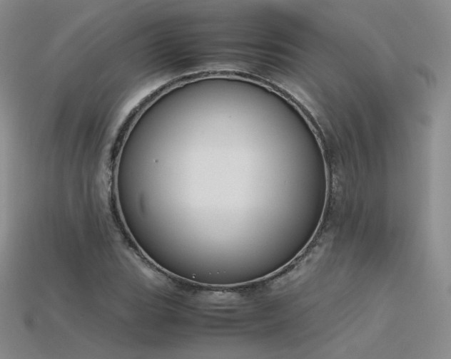 X0000115781119200911131241