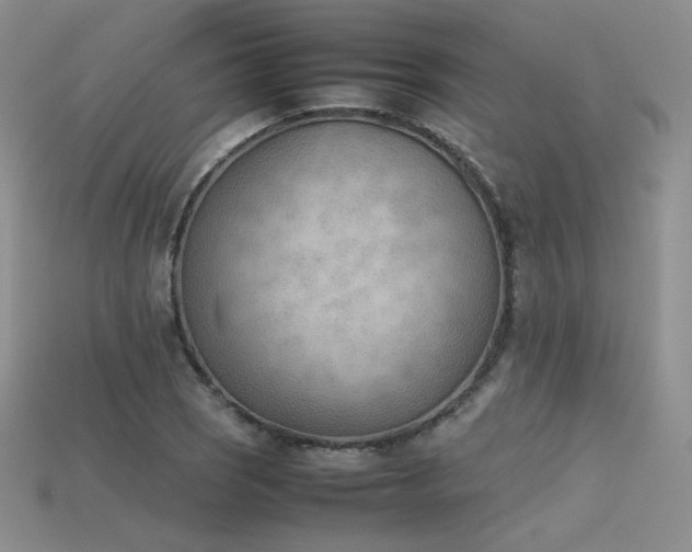 X0000115781121200911131241