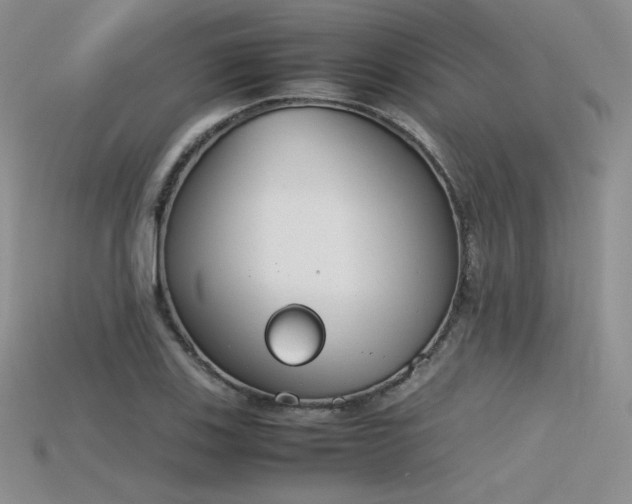 X0000115781123200911131241