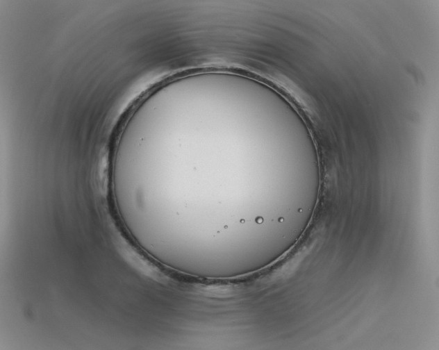 X0000115781126200911131241