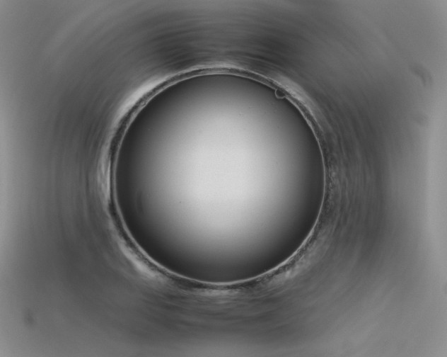 X0000115781127200911131241