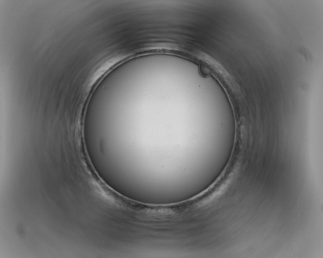 X0000115781129200911131241