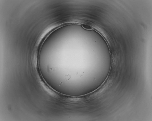 X0000115781131200911131242