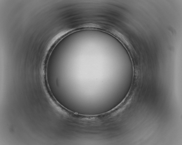 X0000115781133200911131242