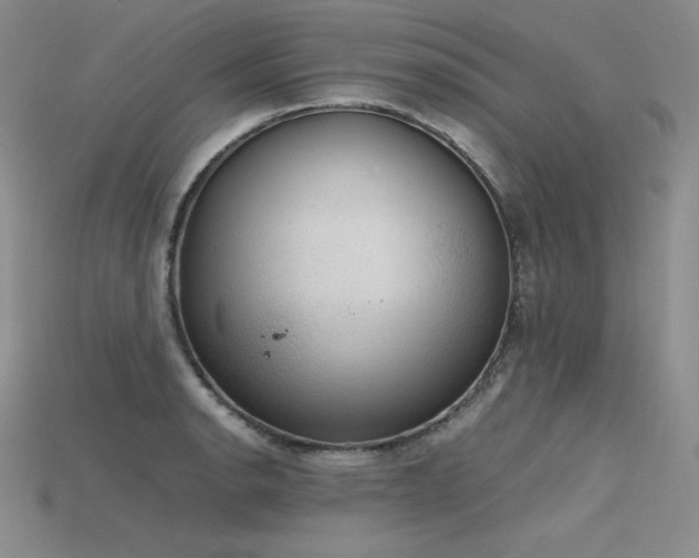 X0000115781134200911131242