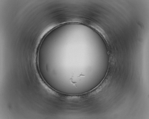 X0000115781135200911131242