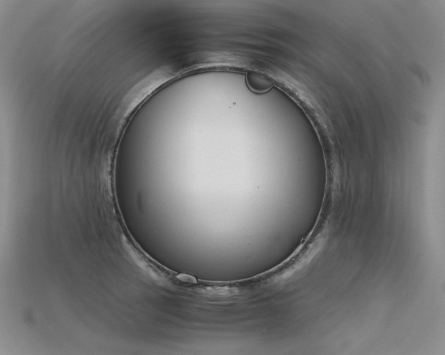 X0000115781137200911131242