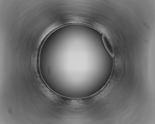 X0000115781138200911131242