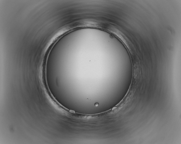 X0000115781139200911131242