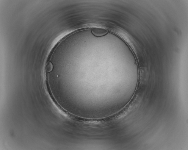 X0000115781141200911131242