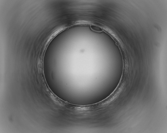 X0000115781145200911131242