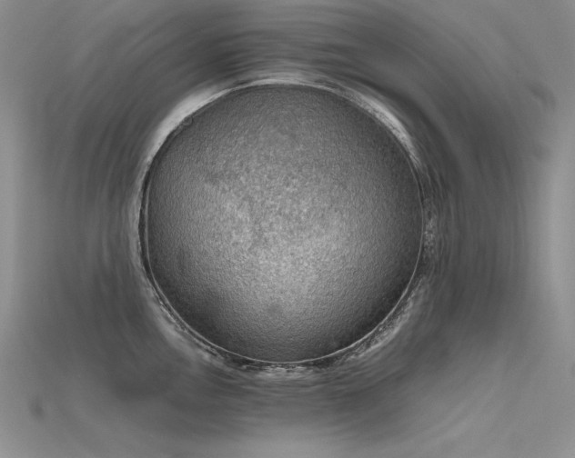 X0000115781146200911131242