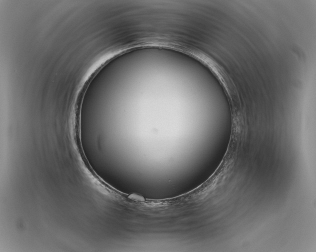 X0000115781147200911131242