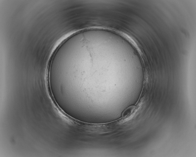 X0000115781149200911131242
