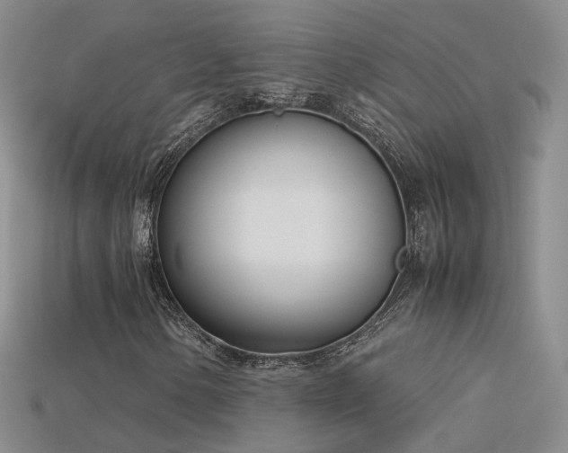 X0000115781154200911131241