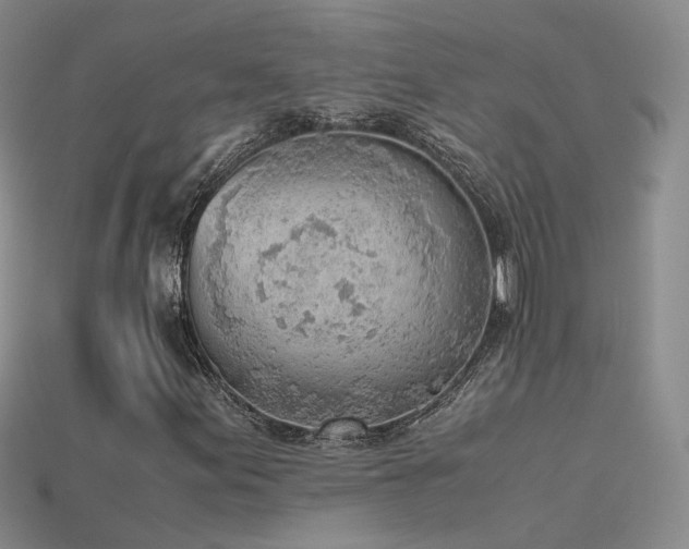 X0000115781155200911131241