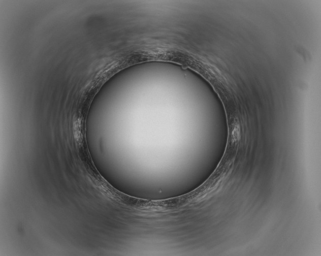X0000115781156200911131241