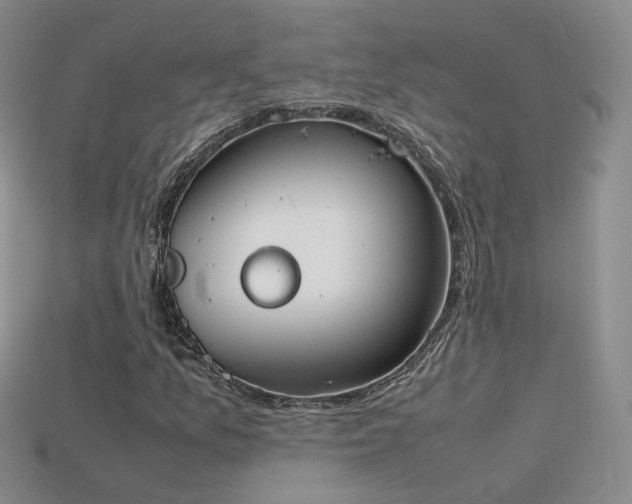 X0000115781157200911131241