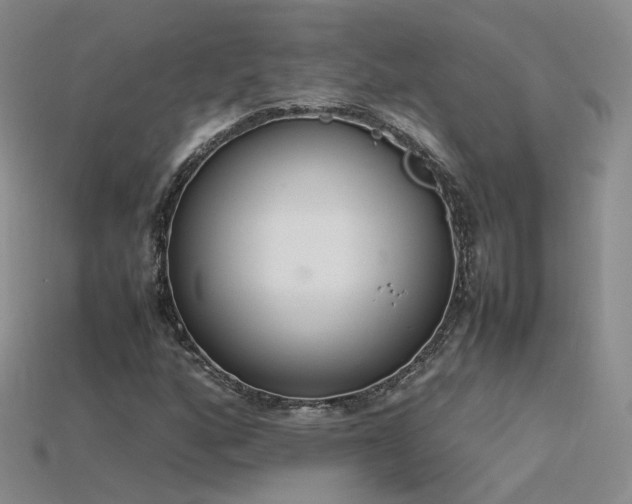 X0000115781160200911131241