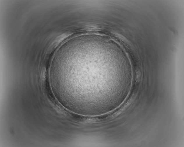 X0000115781161200911131241