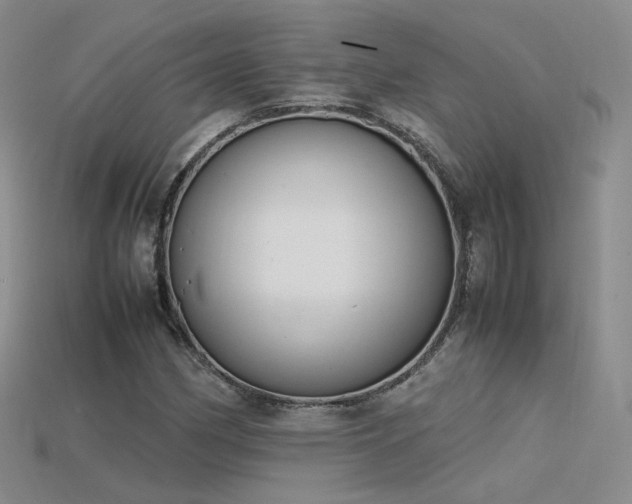 X0000115781162200911131241