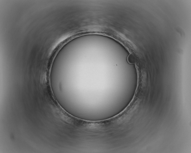 X0000115781166200911131241