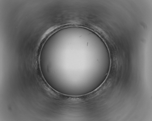 X0000115781168200911131241