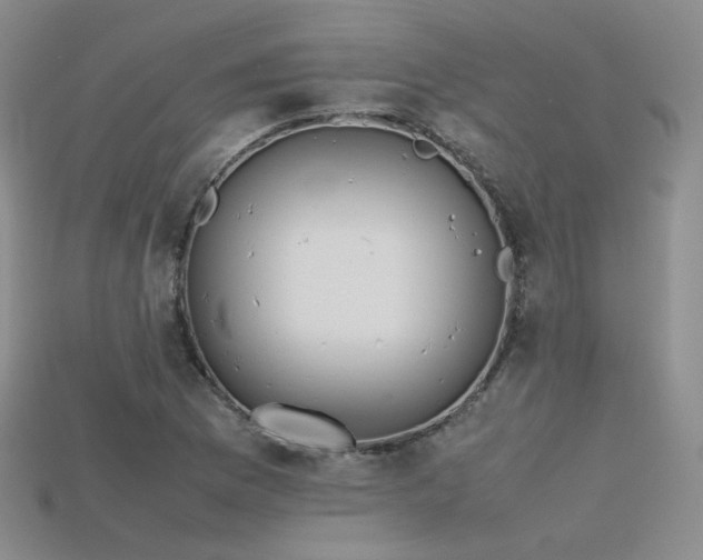 X0000115781169200911131241