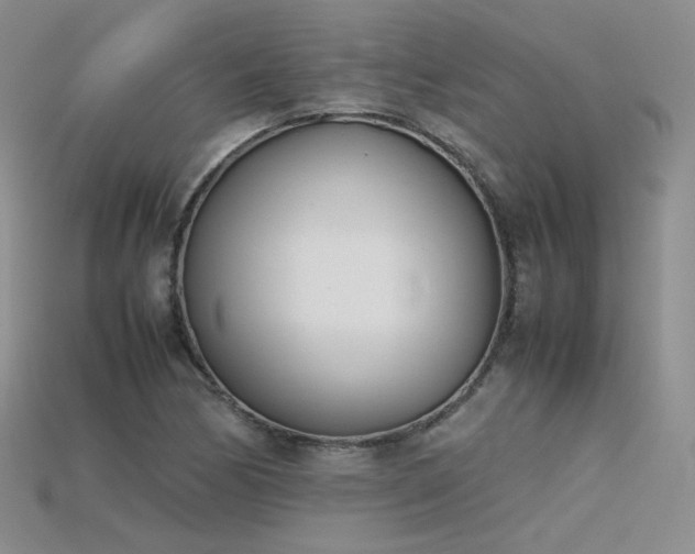 X0000115781170200911131241
