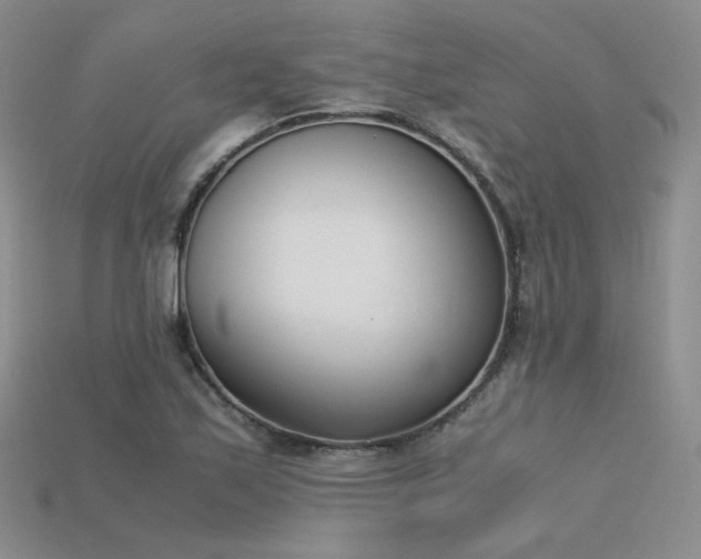 X0000115781171200911131241