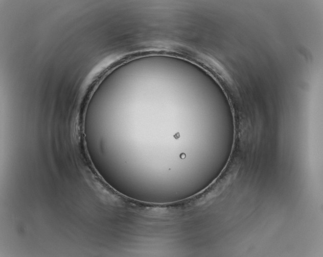 X0000115781172200911131241
